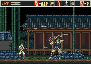 The Revenge of Shinobi