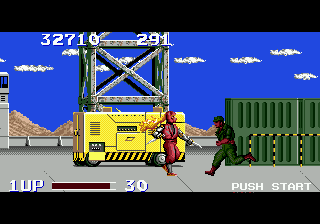 The Ninja Warriors