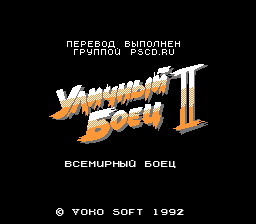Street Fighter II: The World Warrior